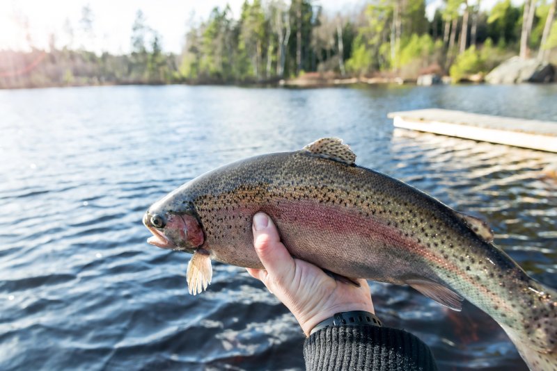 Fishing at Lac du Drennec