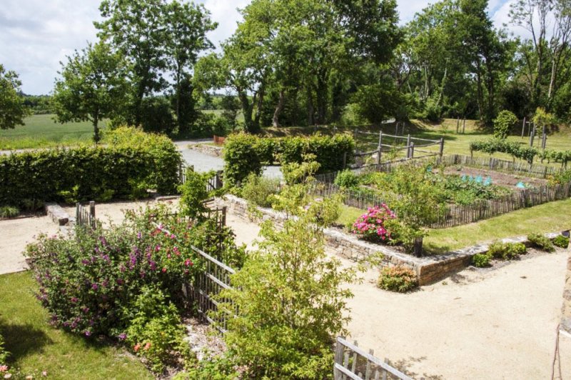 Se régaler avec les bons produits du potager